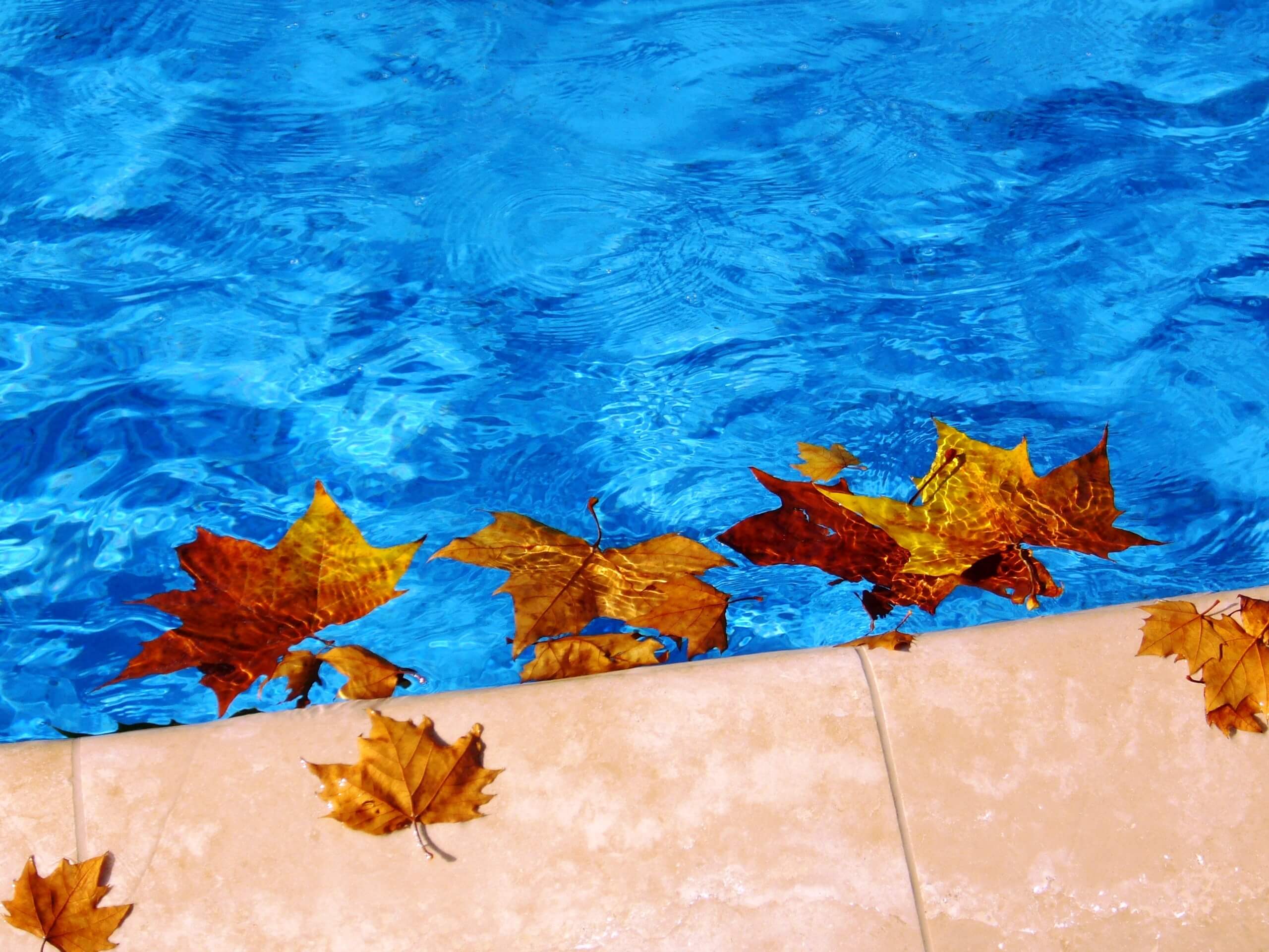 The Joys of Owning a Pool in the Fall